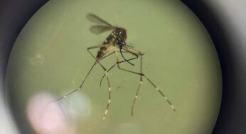 Con críticas a Nación, el ministro de Salud de Kicillof advirtió que viene un brote de dengue muy grave: “Va a ser desquiciante para la gente”