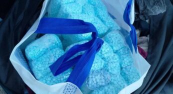 Aseguran 100 mil pastillas de fentanilo abandonadas en central camionera de Jalisco