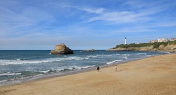 Cuáles son los animales marinos más peligrosos de las playas españolas