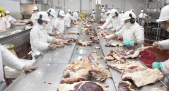Las exportaciones de carne argentina crecieron un 16% pero su precio cayó un 5,9%