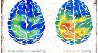 El desafío del cerebro escultor