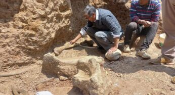 Hallaron los restos de tres mastodontes que vivieron hace 12 mil años