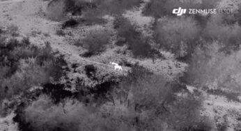Así es como la fotografía aérea de los drones ayuda a monitorizar y proteger el león africano en Uganda