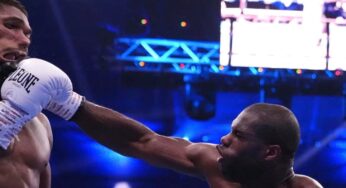 Daniel Dubois, la mezcla de Holyfield y Tyson que siembra el terror entre los pesados