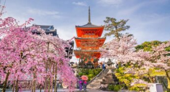 Emigrar a Japón: lo que tenés que saber para poder mudarte siendo argentino y cómo se tramita la visa