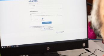ANSeS: estas son las fechas de cobro para noviembre