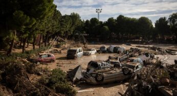 La ingeniería verde salva vidas