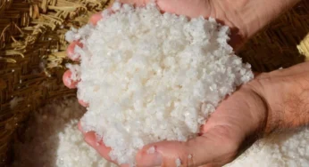 La sal de Cartagena: una historia milenaria de riqueza y comercio