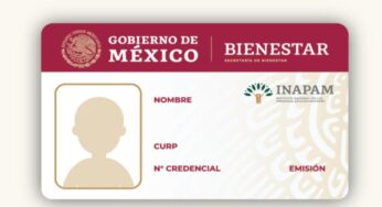 Credencial INAPAM: cómo tramitarla a partir del 2025 para obtener descuentos y beneficios