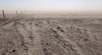 ¿Viene o no viene La Niña?: las probabilidades varían entre el 72% y el 41% y en el campo reina la incertidumbre