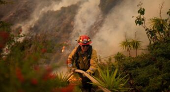 Caminos estrechos, cañones profundos y columnas de fuego: los desafíos que enfrentan los bomberos de Los Ángeles
