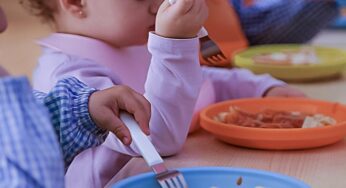 Frituras con aceites no recomendados y menús sin supervisión de profesionales en los comedores escolares de España: un informe de la AESAN alerta al Gobierno