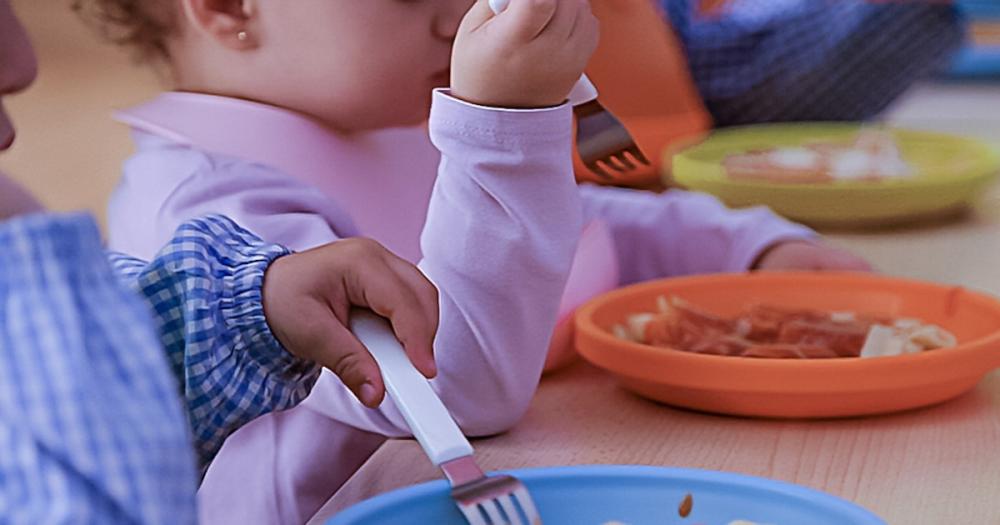 Frituras con aceites no recomendados y menús sin supervisión de profesionales en los comedores escolares de España: un informe de la AESAN alerta al Gobierno