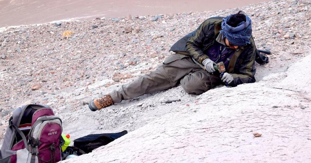 Un ecosistema perdido: descubren una increíble fauna acuática y terrestre de la Patagonia prehistórica